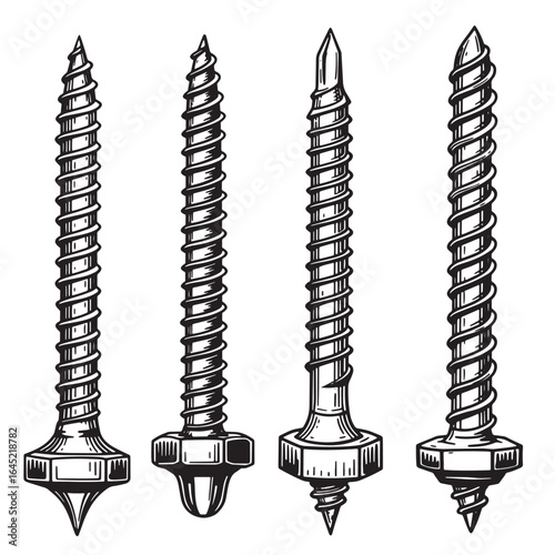 Detailed engraved illustration of various wood screws with different head styles