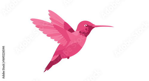 Vibrant pink hummingbird in flight. Stylized vector illustration of a tropical colibri with magenta plumage, isolated on a white background. fard (24).eps