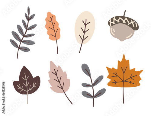 A collection of hand drawn autumn leaves and an acorn in soft fall colors. Flat cartoon style vector illustration suitable for seasonal designs like thanksgiving invitations. Greeting cards. Stickers.