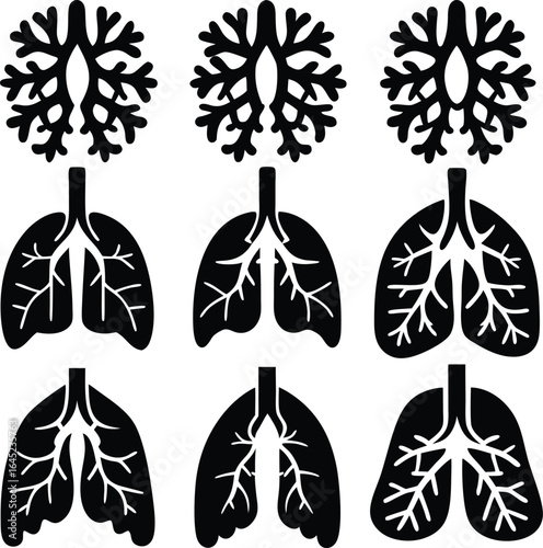 Black and White Lung Anatomy Vector Illustration: Medical Diagram, Respiratory System Art