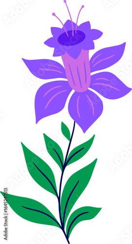 vector illustration of Campanula flower. A Harebell Stem, watercolor painting vector, isolated on a white background. Elegant floral design featuring campanula flower