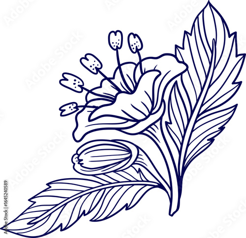 hand drawn vector drawing of a campanula flower. Bellflower flower. Beautiful spring flower on white background. Purple bellflower in bloom, simple flat floral vector illustration for print, design.