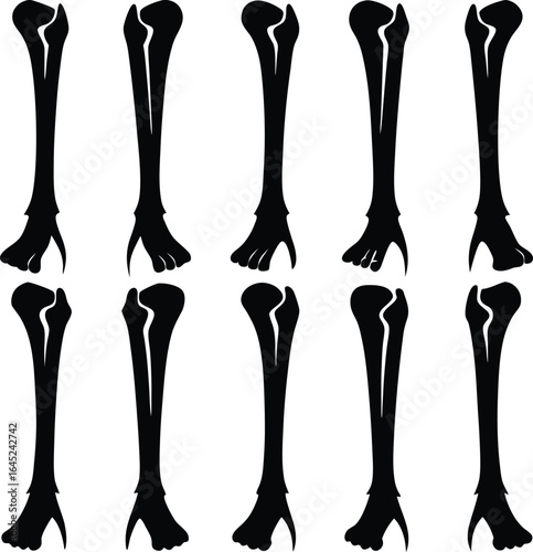 Black and White Vector Pattern of Cartoon Bird Bones: Halloween Graphic Design Element