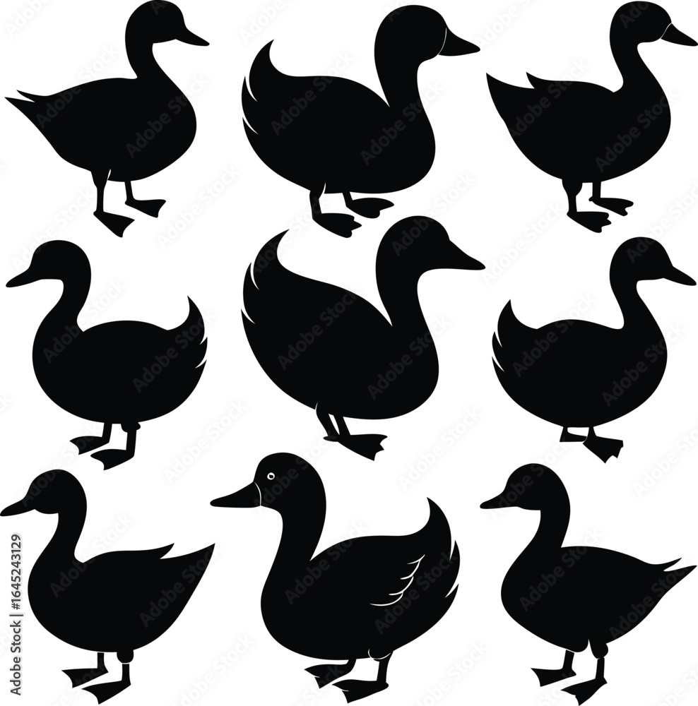 Fototapeta premium Black Duck Silhouettes: Vector Graphic of Waterfowl, Bird Illustration, Animal Clip Art