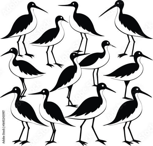 Black-Necked Stilts Illustration: Shorebirds, Birdwatching, Wildlife Art, Vector Graphic, Ornithology