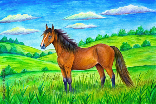 Summer meadow with wild horse, green grass under blue sky, peaceful countryside view, natural freedom landscape