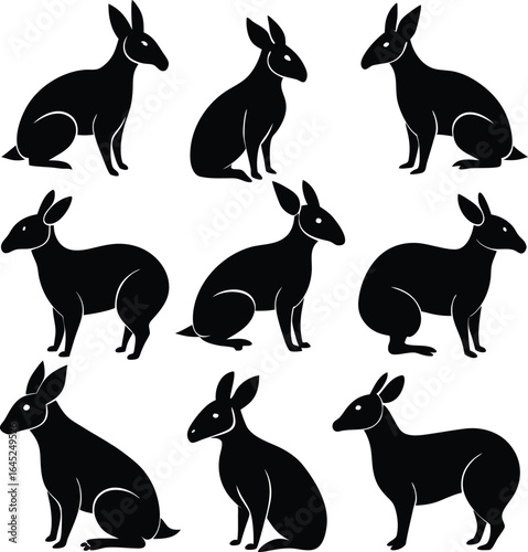 Black Silhouette Wallabies Vector Illustration: Wildlife Art, Australian Animals Graphics