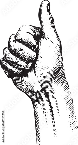 Hand with thumb raised in a classic thumbs up gesture. Detailed vintage sketch in black and white vector illustration.