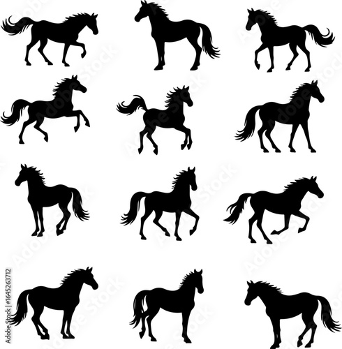 "Running & Rearing Horse Silhouettes – Vector Set of Majestic Equine Poses"