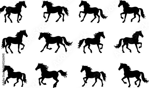 Horse Silhouette Collection Running and Walking