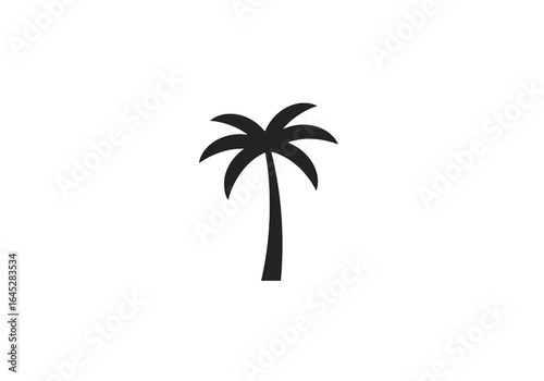 Silhouette of a Palm Tree Against a Black Background on transparent background
