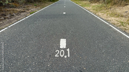 Wallpaper Mural North Sea, Holland. Straight asphalt road with white markings and natural surroundings, leading into the distance, inviting exploration and adventure ahead Torontodigital.ca