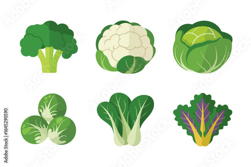 Cruciferous greens collection, broccoli cauliflower brussels sprouts cabbage, healthy eating vector, salad poster, t shirt typography
