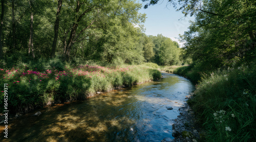 river in the forest