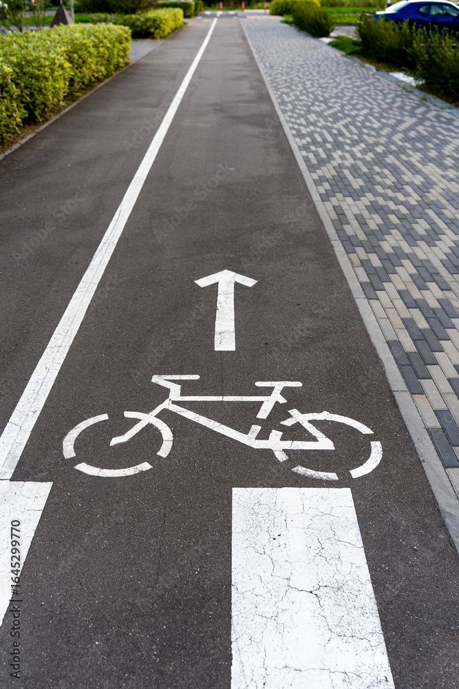 Fototapeta premium Bicycle lane sing with directional markings on a paved pathway in a park 
