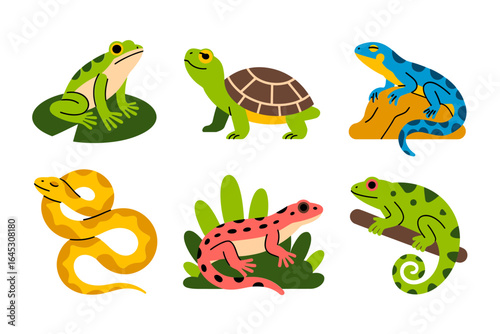 Pond amphibian and reptile icon set, frog turtle salamander snake, lily pad rock vector, playful nature characters, childrens educational clipart