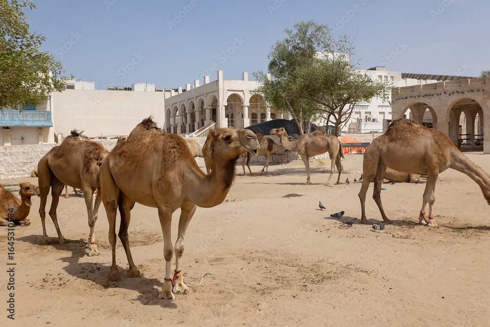 Fototapeta premium Happy european family, visiting Doha during the hot summer months