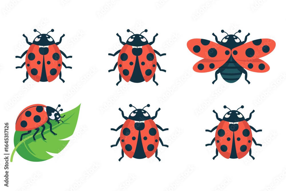 Fototapeta premium Ladybug insect icon set, red black spotted beetle on leaf, garden pollinator vector illustration, spring greeting design, childrens nature emblem