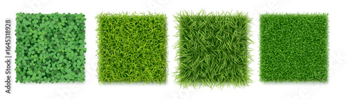 Top view grass texture with fresh green blades. Vector landscape design or gaming environments. Field or meadow, lawn or pasture. Greenery collection, wild nature and garden grassy vegetation variety