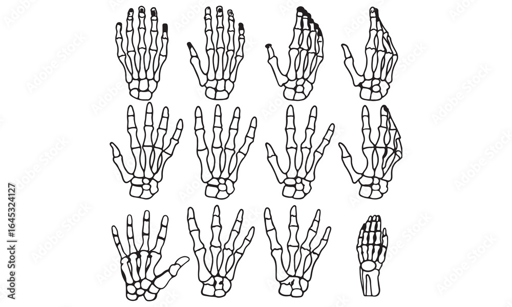 Fototapeta premium Skeleton Hand Gesture Icons Vector Illustrations of Skeletal Hand Signs