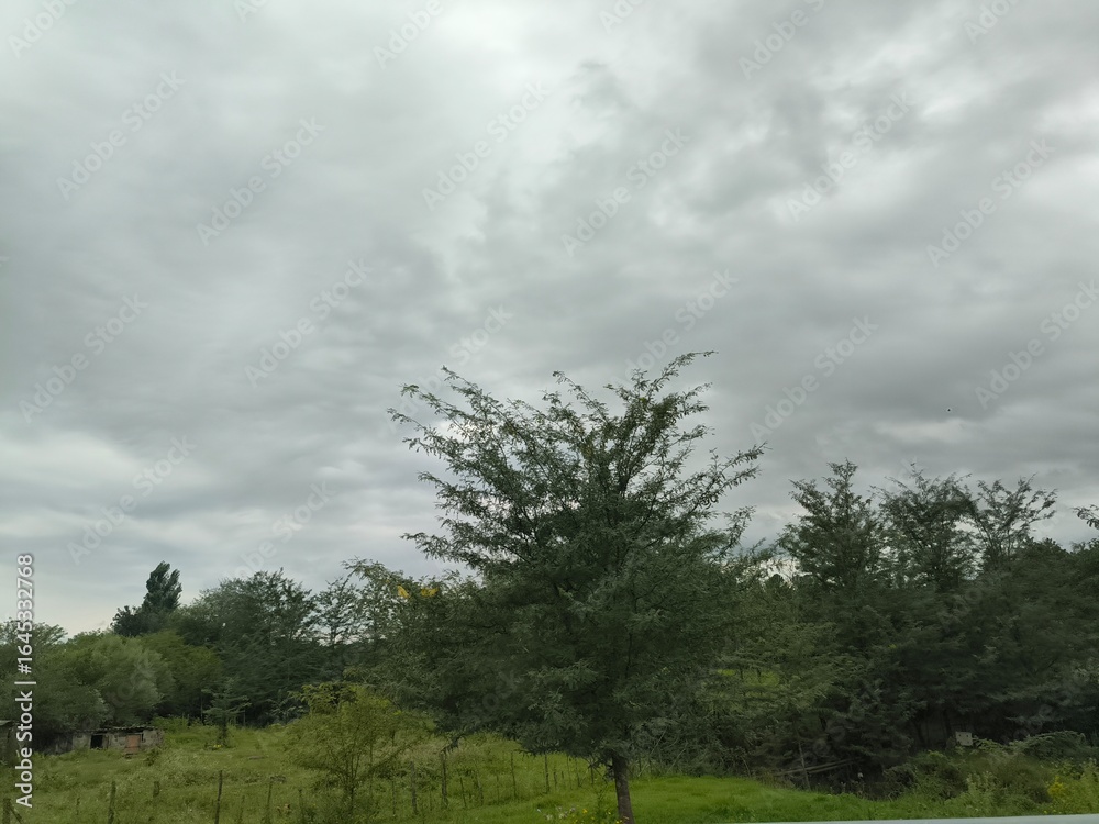 Obraz premium Cloudy green landscape