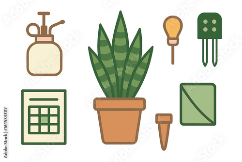 Indoor gardening essentials for nurturing a healthy snake plant at home