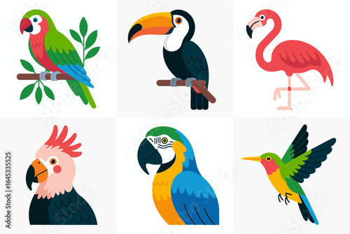 Colorful parrot collection, macaw cockatoo toucan lovebird hummingbird, bird icons, friendly vector, island theme