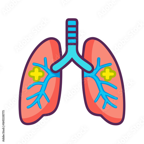 Colorful illustrated lungs with branching bronchi on white background  