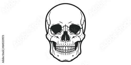 Human Skull Vector Illustration Grim Anatomy Death Concept Graphic Design White Background