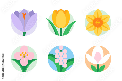 Spring flower round icon set, crocus tulip daffodil cherry blossom vector, floral badge illustration, minimal circle emblem, garden clipart