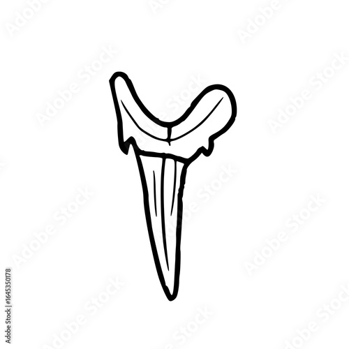 shark tooth fossil outline drawing