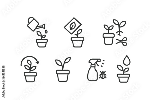Plant care steps outlined with simple drawings showing watering, fertilizing, pruning, and pest control for healthy growth