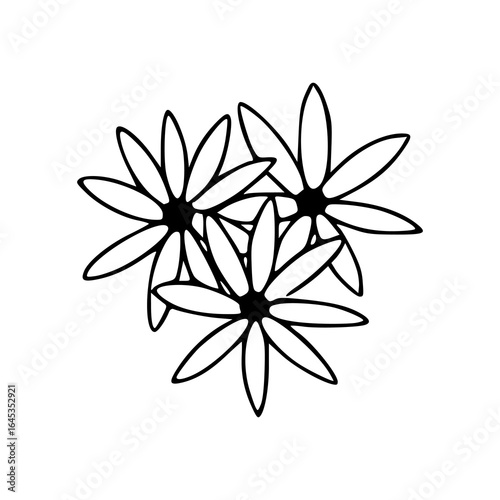 simple line art daisy flower arrangement