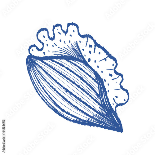 Spiral sea shell textured hand drawn vector art. Mediterranean blue ink line bivalve mollusk. Icon contour symbol for summer, home decor, vacation print, stickers, tag, logo