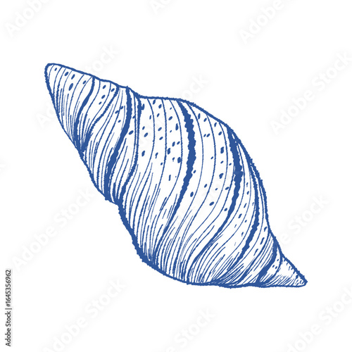 Spiral sea shell textured hand drawn vector art. Mediterranean blue ink line bivalve mollusk. Icon contour symbol for summer, home decor, vacation print, stickers, tag, logo
