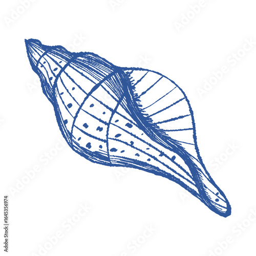 Spiral sea shell textured hand drawn vector art. Mediterranean blue ink line bivalve mollusk. Icon contour symbol for summer, home decor, vacation print, stickers, tag, logo