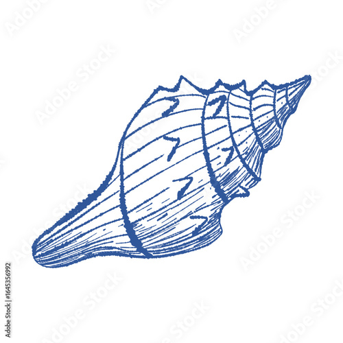 Spiral sea shell textured hand drawn vector art. Mediterranean blue ink line bivalve mollusk. Icon contour symbol for summer, home decor, vacation print, stickers, tag, logo