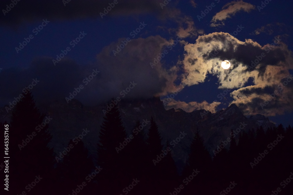 Obraz premium Cielo de noche