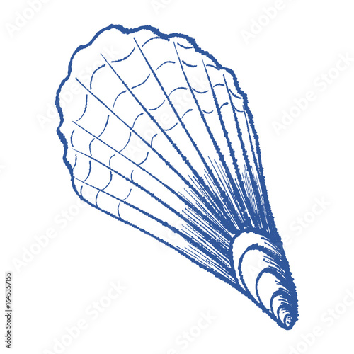 Sea shell scallop, textured ink hand drawn vector art. Mediterranean blue line bivalve mollusk. Icon contour symbol for branding, home decor, notebook covers, apparel print, stickers, tag, logo