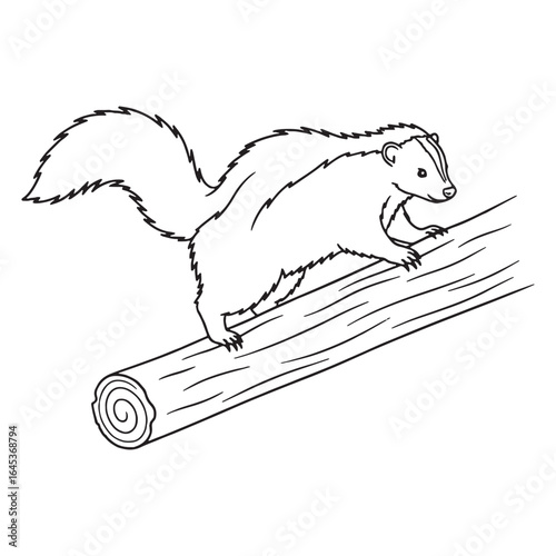 Striped Skunk Line Art – Skunk Vector Outline Drawing with Clear Fur Patterns – Skunk Drawing – Vector of Skunk – Skunk Outline

