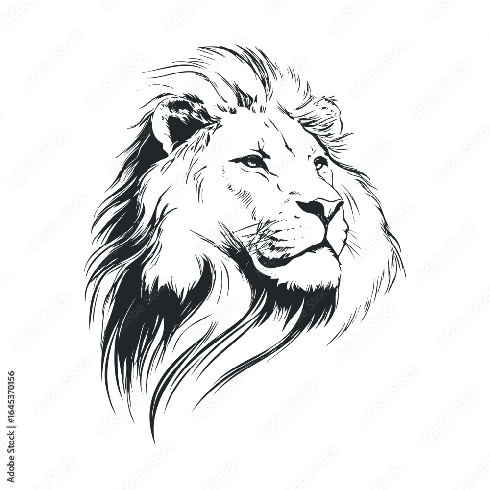 Fototapeta premium Majestic lion head sketch with detailed mane design for artwork