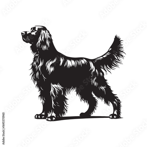 Golden Setter Silhouette - Minimalist Golden Setter Vector - Illustration of Golden setter.