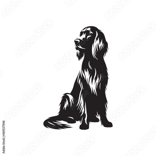 Golden Setter Silhouette - Minimalist Golden Setter Vector - Illustration of Golden setter.