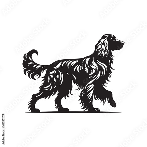 Golden Setter Silhouette - Minimalist Golden Setter Vector - Illustration of Golden setter.