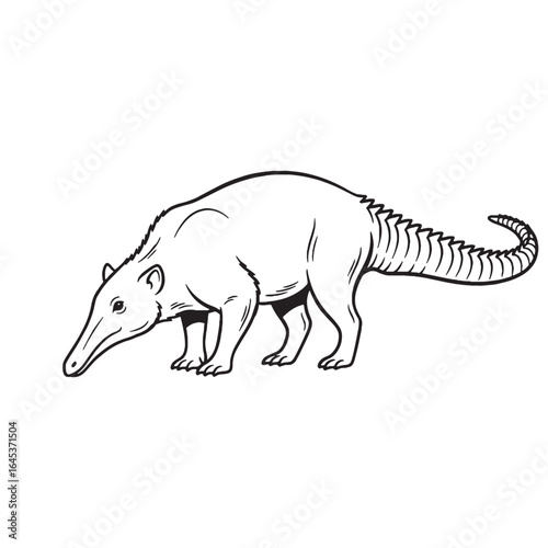 Rare Mammal Solenodon Line Art – Solenodon Vector Outline Drawing with Characteristic Nose and Body – Solenodon Drawing – Vector of Solenodon – Solenodon Outline

