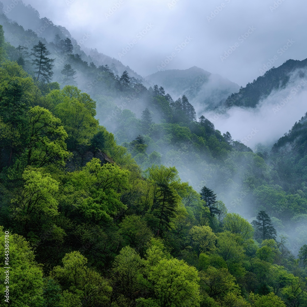 Misty mountain slopes, lush green foliage blankets steep hillsides, low clouds drift through valleys, creating a serene and ethereal atmosphere Misty mountain slopes, lush green foliage blankets steep hillsides, low clouds drift through valleys, creating a serene and ethereal atmosphere