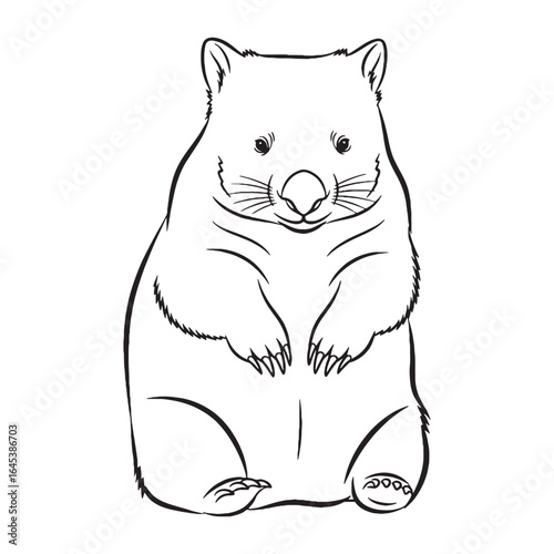 Stylized Wombat Line Art – Wombat Vector Illustration Refined Drawing with Rounded Structure – Wombat Drawing – Line Art Drawing of Wombat – Wombat Icon

