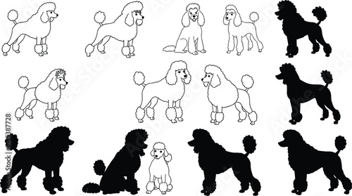 Collection of black poodle dog silhouettes in various standing and sitting poses, elegant canine vector illustration set on a white background.