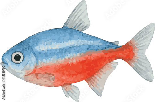 Vector adorable watercolor illustration of a tetra fish