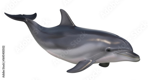 A realistic dolphin swimming isolated on a transparent background